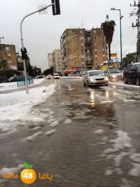 iceman lud 1213 (94).jpg